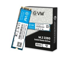 EVM 128GB M.2 (2280) SSD